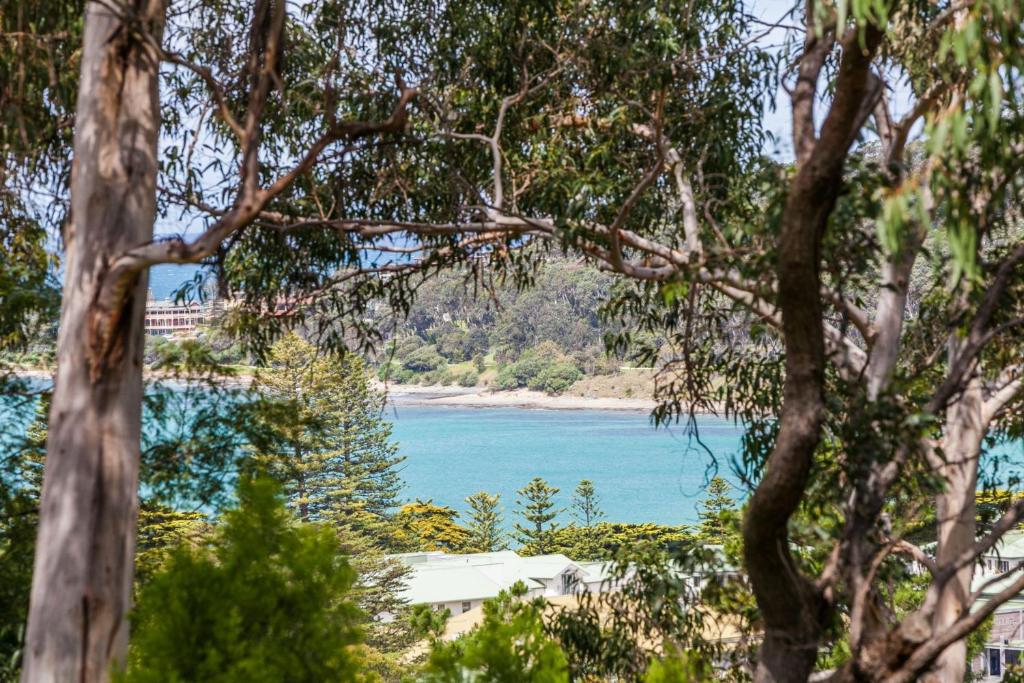 vistas a la playa a través de algunos árboles en Waverley Retreat, en Lorne