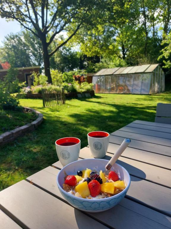Zahrada ubytování Slaaphutje BuitenWedde Westerwolde
