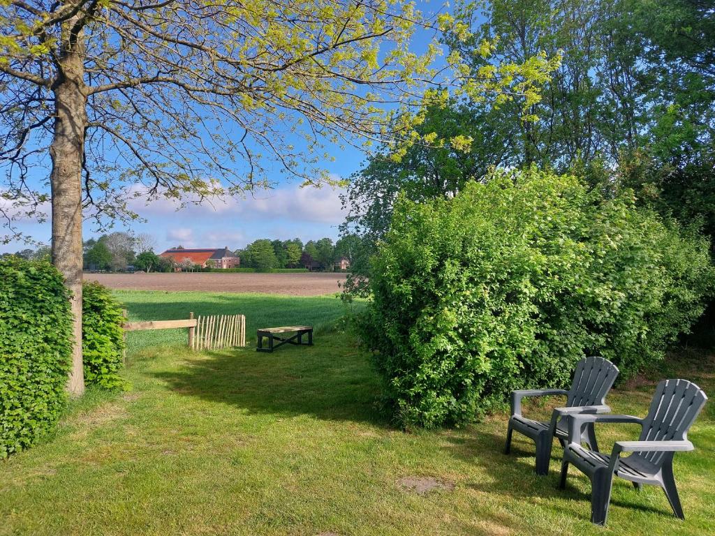 Zahrada ubytování Slaaphutje BuitenWedde Westerwolde
