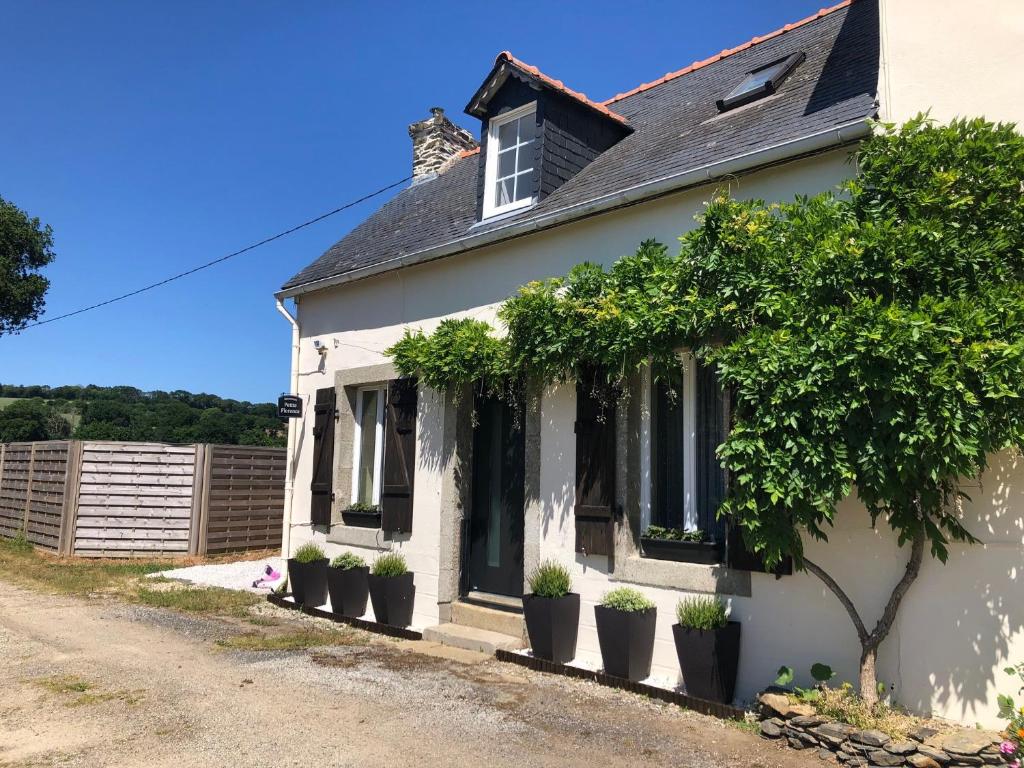 Petite Florence - Housity