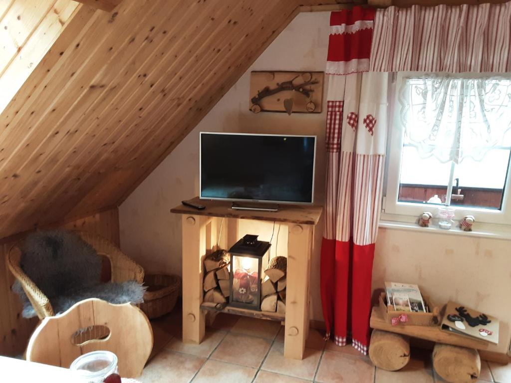 een woonkamer met een tv op zolder bij Fewo Holzwurm in Braunlage