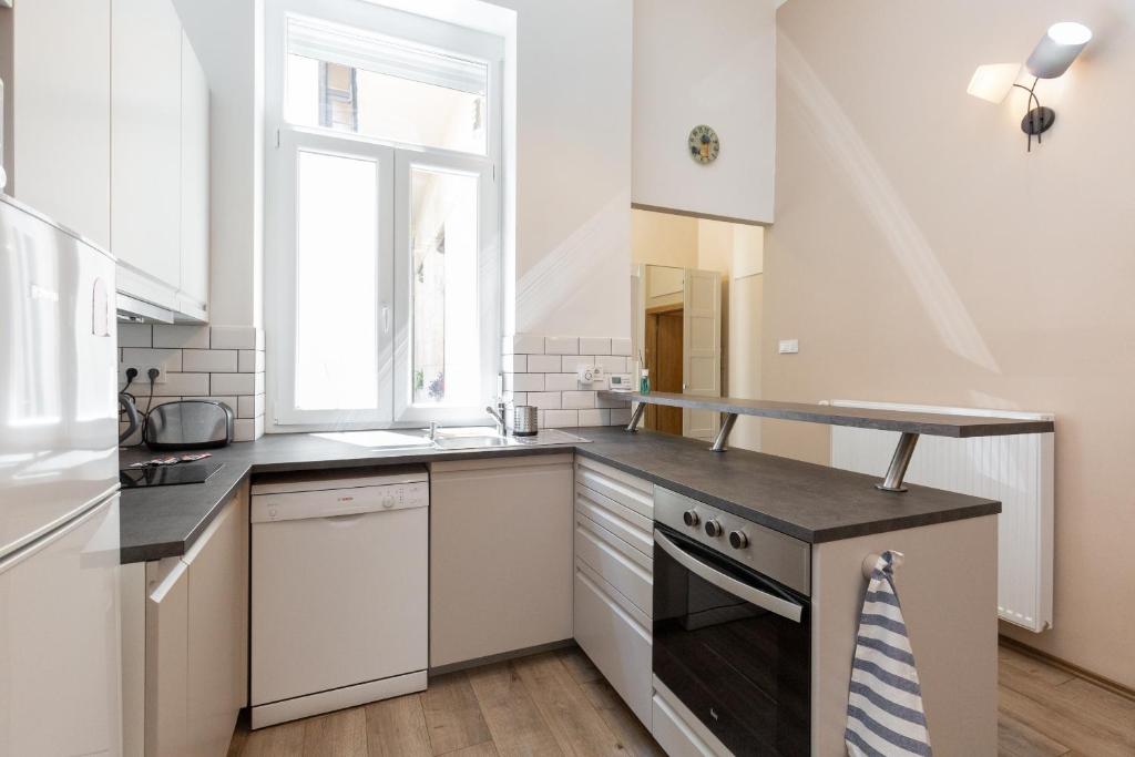 Kuchyňa alebo kuchynka v ubytovaní D78 Dohány Apartment