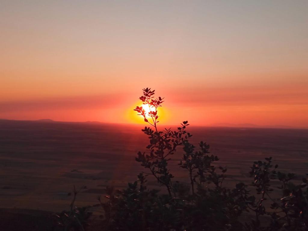 The sunrise or sunset as seen from the holiday home or nearby