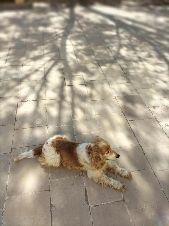 Derechos de imagen reservados por Booking.com