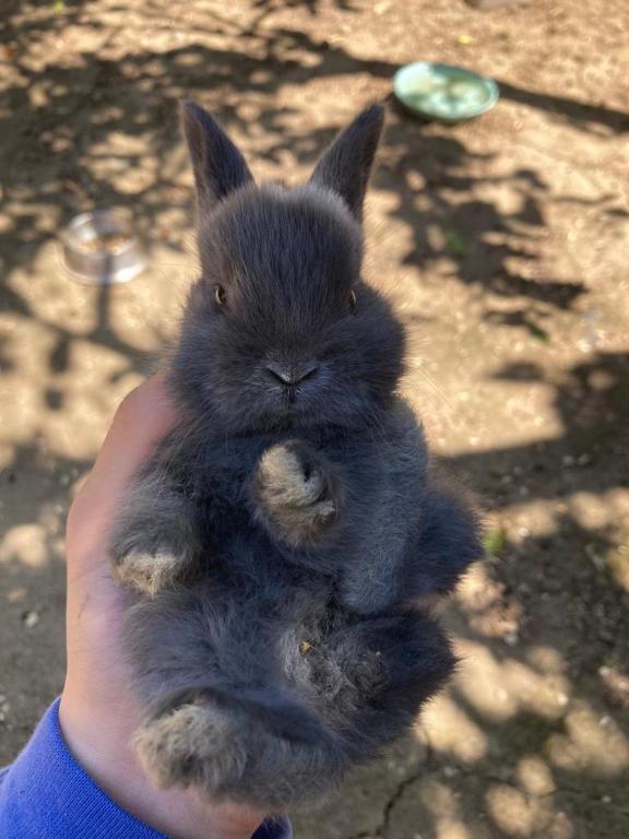 Derechos de imagen reservados por Booking.com