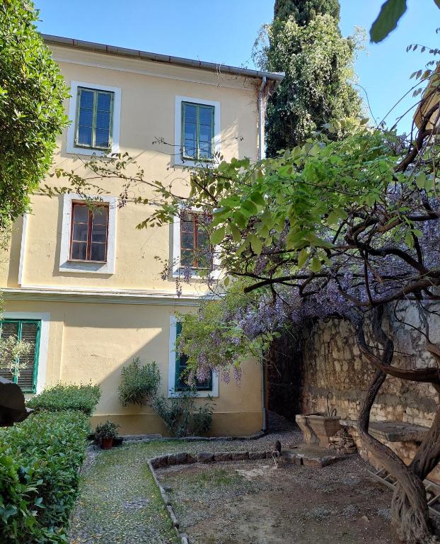 a house with a tree in front of it at APP Old Garden House in Šibenik