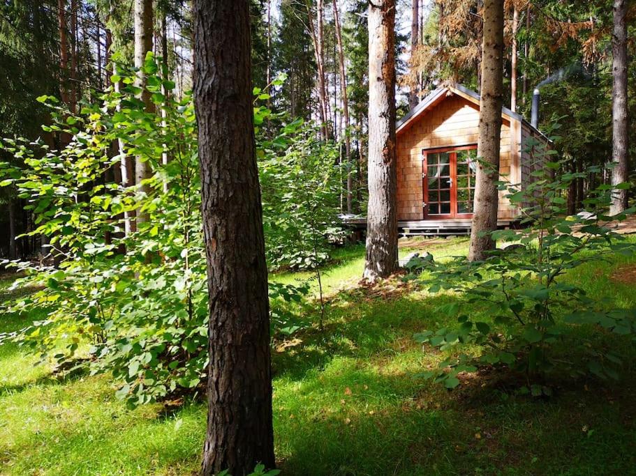 a cabin in the middle of a forest at Private cosy forest cabin in Inturkė