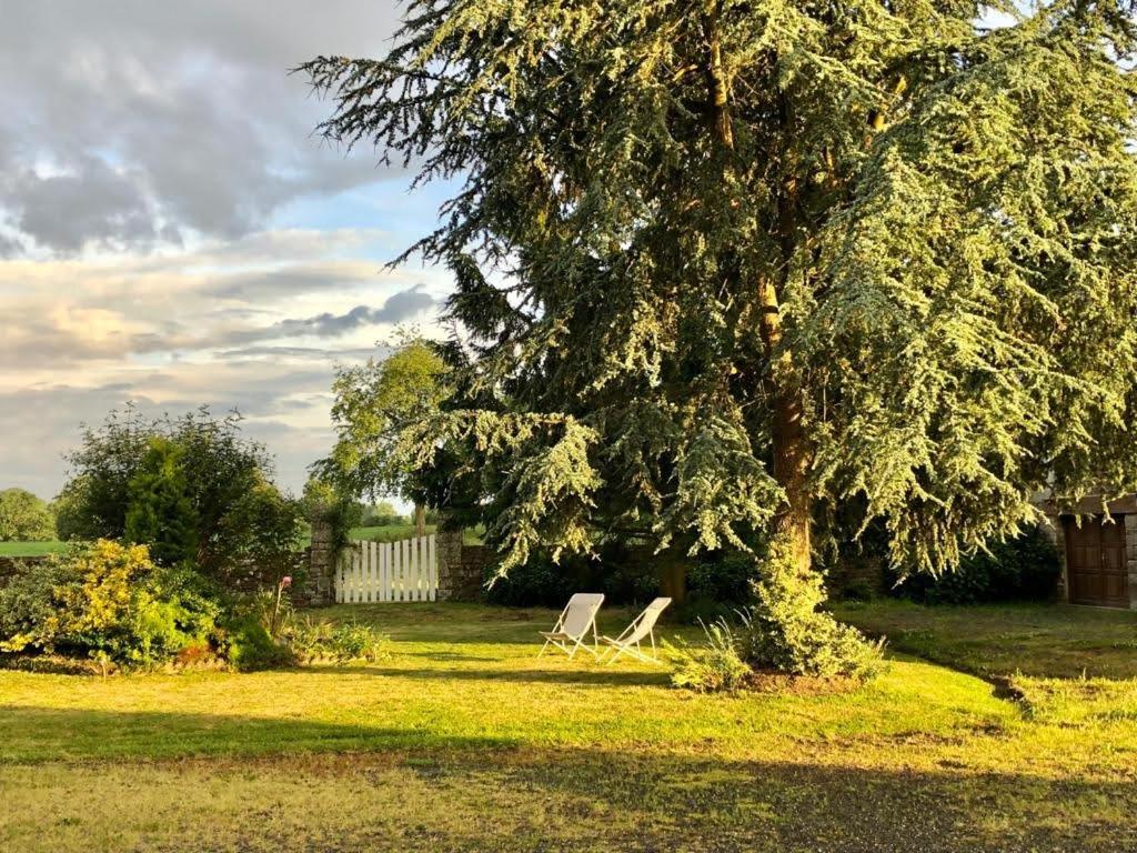 Le Manoir de la Beslière - Gîte et Chambres d'hôtes - 5