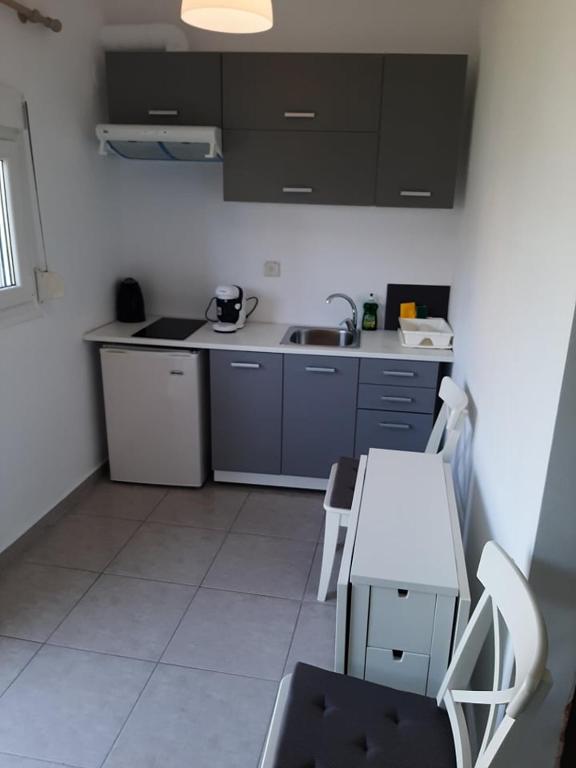 Kuchyň nebo kuchyňský kout v ubytování Villa Aggelos