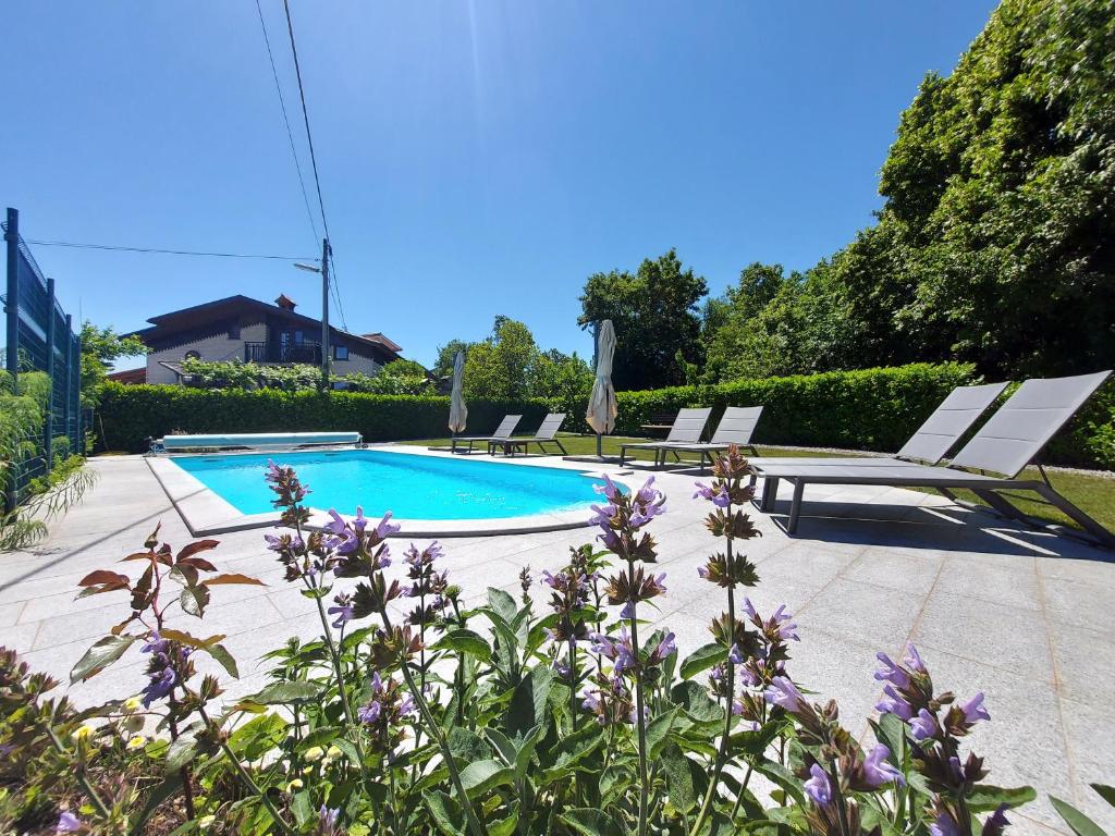 a swimming pool with lounge chairs and purple flowers at Guesthouse Pri Mihelovih in Sežana