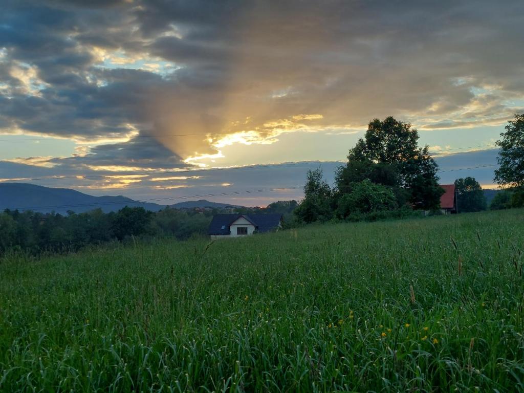 Príroda v okolí farmy