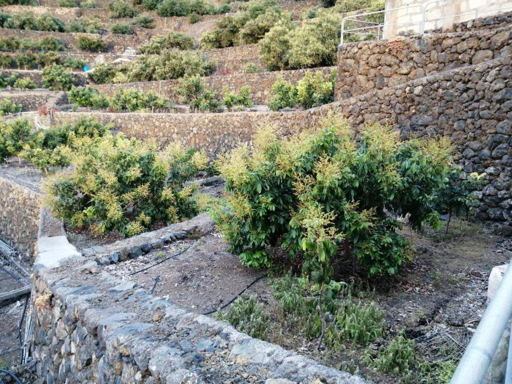 A garden outside Independent house in rural setting