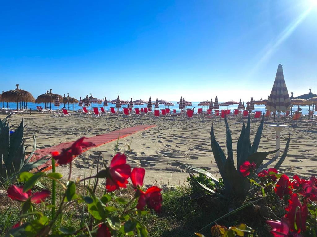 una playa con flores y sillas rojas y el océano en Hotel Silvi en Silvi Marina