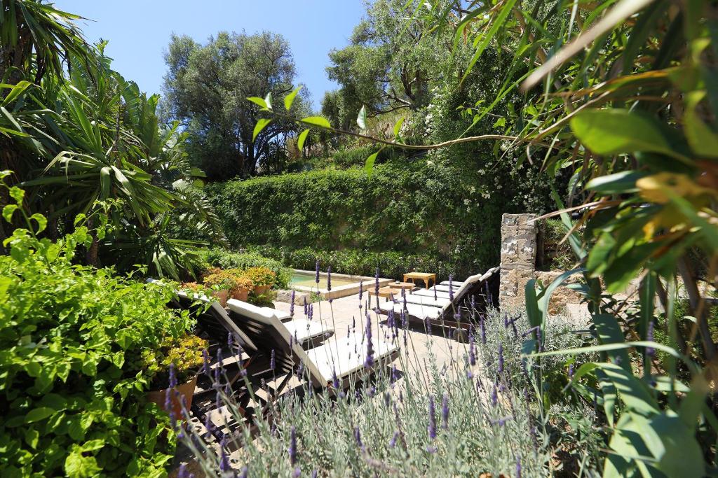 a garden with a bunch of chairs and plants at Mimi Calpe in Tangier