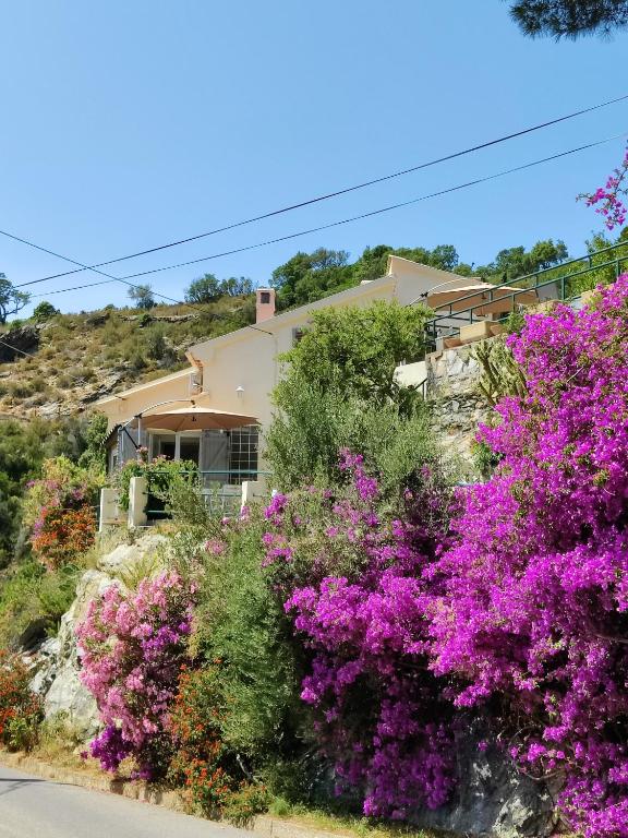 une maison sur une colline avec des fleurs violettes dans l'établissement La Vallicella, à Farinole
