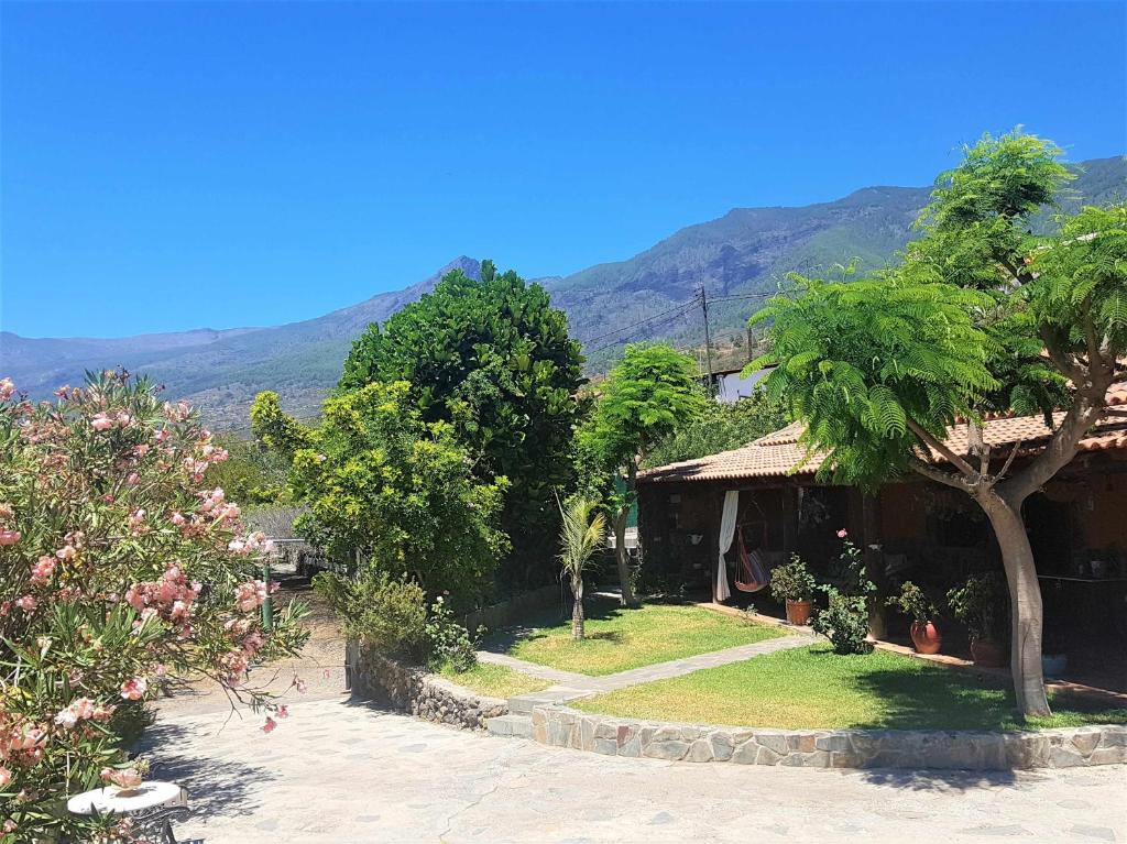 a house with a tree and a mountain in the background at Finca La Casita en entorno natural in Arafo