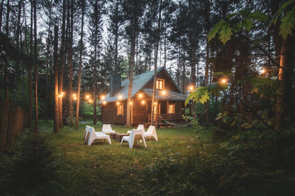 eine Hütte im Wald nachts mit Stühlen und Beleuchtung in der Unterkunft Jarzębinowa - Dom do wynajęcia na Podlasiu in Łuka