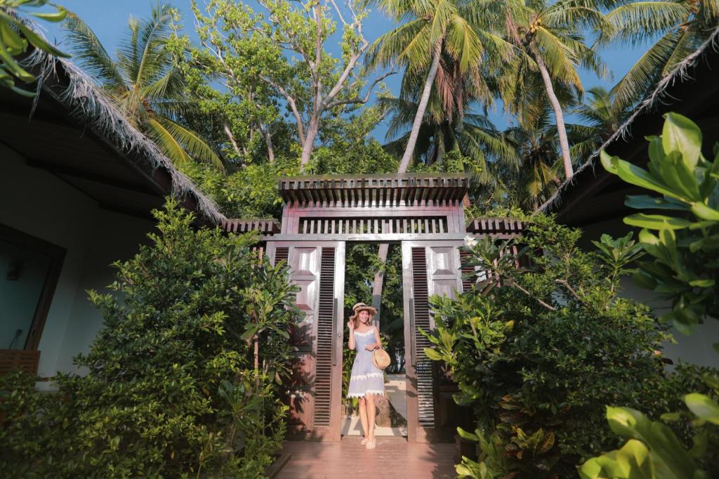 Plumeria Maldives - 19