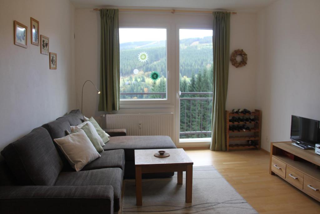 什平德莱鲁夫姆林Cozy apartment in Bedřichov - Špindlerův Mlýn的带沙发和大窗户的客厅