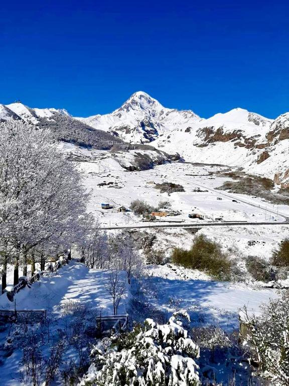 Φυσικό τοπίο κοντά σε αυτό το ξενοδοχείο
