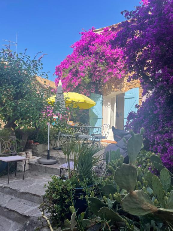 une terrasse avec un parasol jaune et des fleurs violettes dans l'établissement maison de vacances Médiévale Bormes-les-Mimosas village, à Bormes-les-Mimosas