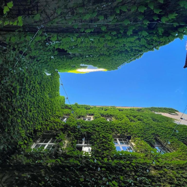 Hotel Dwór Polski - Resim 39