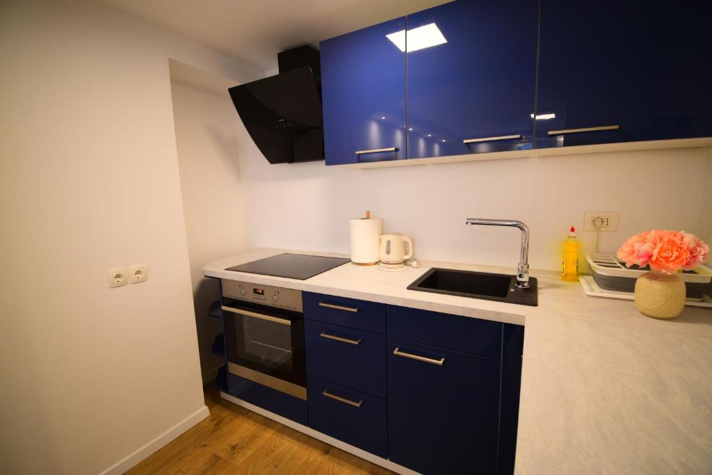 Kuchyňa alebo kuchynka v ubytovaní Apartman Veronique