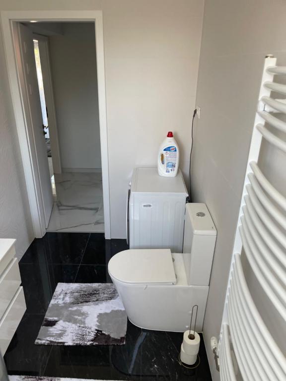 Fotografie z fotogalerie ubytování Classic Silver Apartman v destinaci Szeged