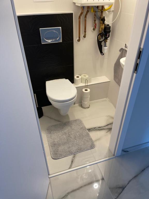 Koupelna v ubytování Classic Silver Apartman