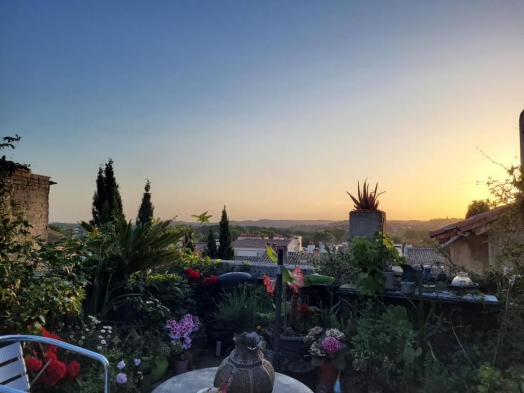 d'un jardin fleuri et d'un coucher de soleil en arrière-plan. dans l'établissement Un nid sur les toits face au palais des papes, à Avignon
