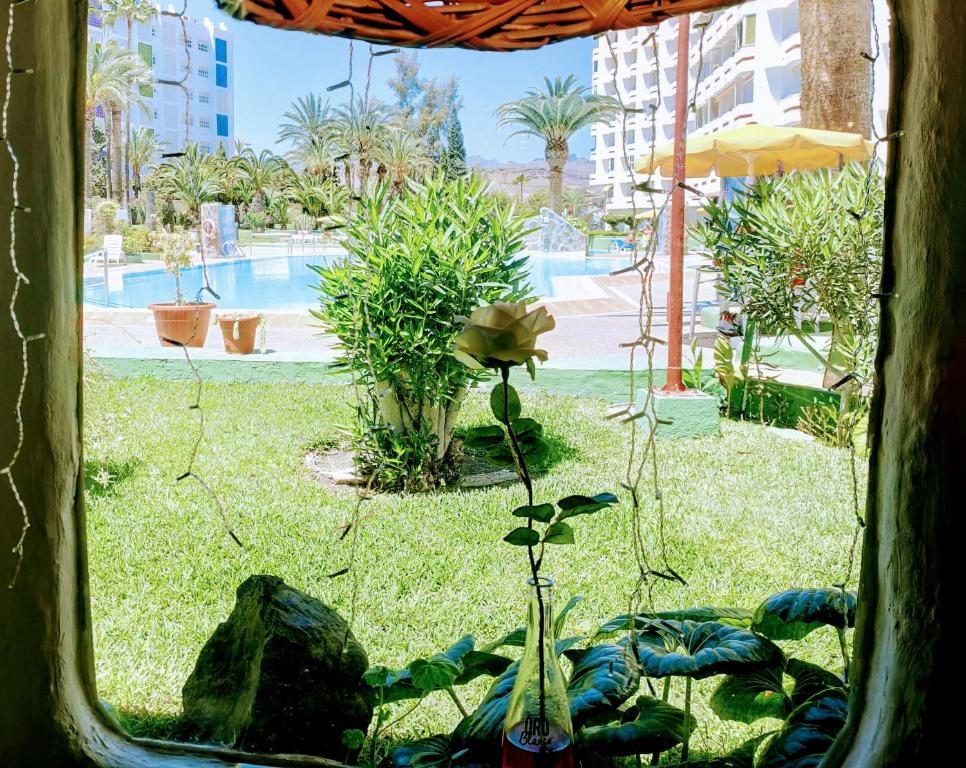 Bazén v ubytování PLAYA DEL INGLES -2 balcons- AGAETE PARK nebo v jeho okolí