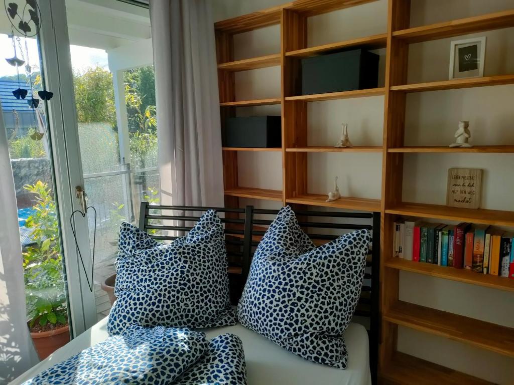 Zimmer mit Bücherregal und Kissen auf dem Sofa in der Unterkunft Löwensteiner Berge in Löwenstein