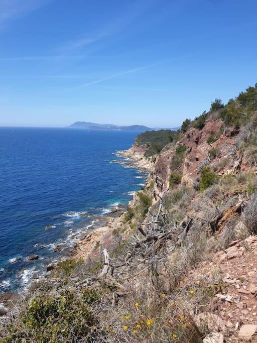 une vue sur l'océan depuis un rivage rocheux dans l'établissement Studio avec parking privé, à Carqueiranne