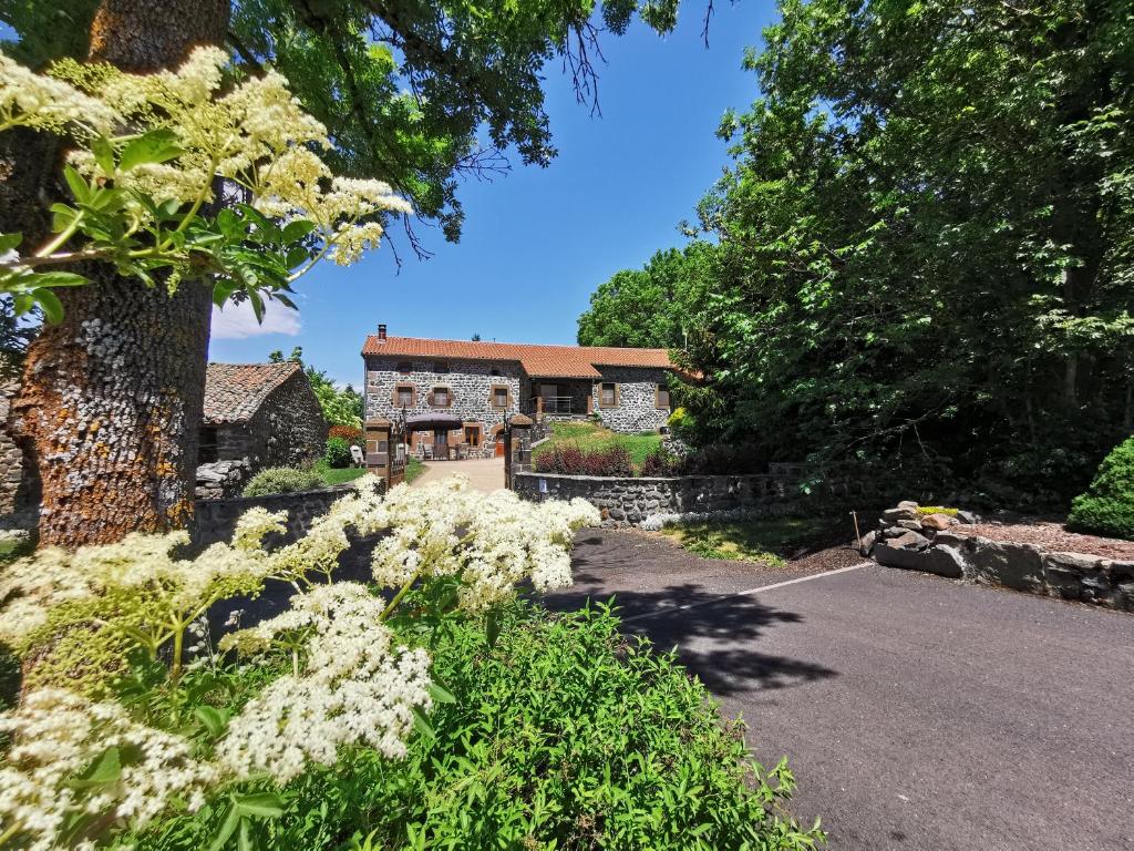 a house in the middle of a garden with white flowers at Le clos des pierres rouges in Saint-Privat-dʼAllier
