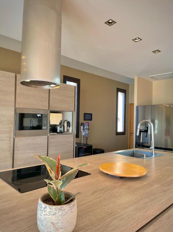 a kitchen with a wooden table and a potted plant at Maï Homes - La Villa Bompard in Marseille