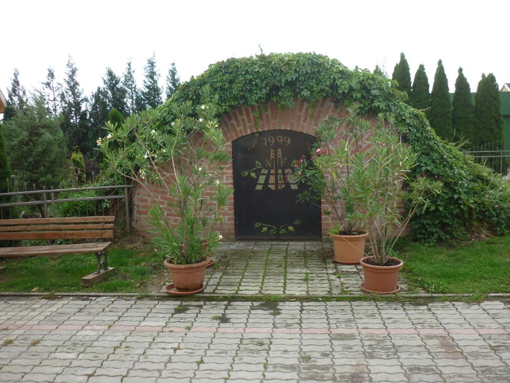 Zahrada ubytování Áldos Panzió