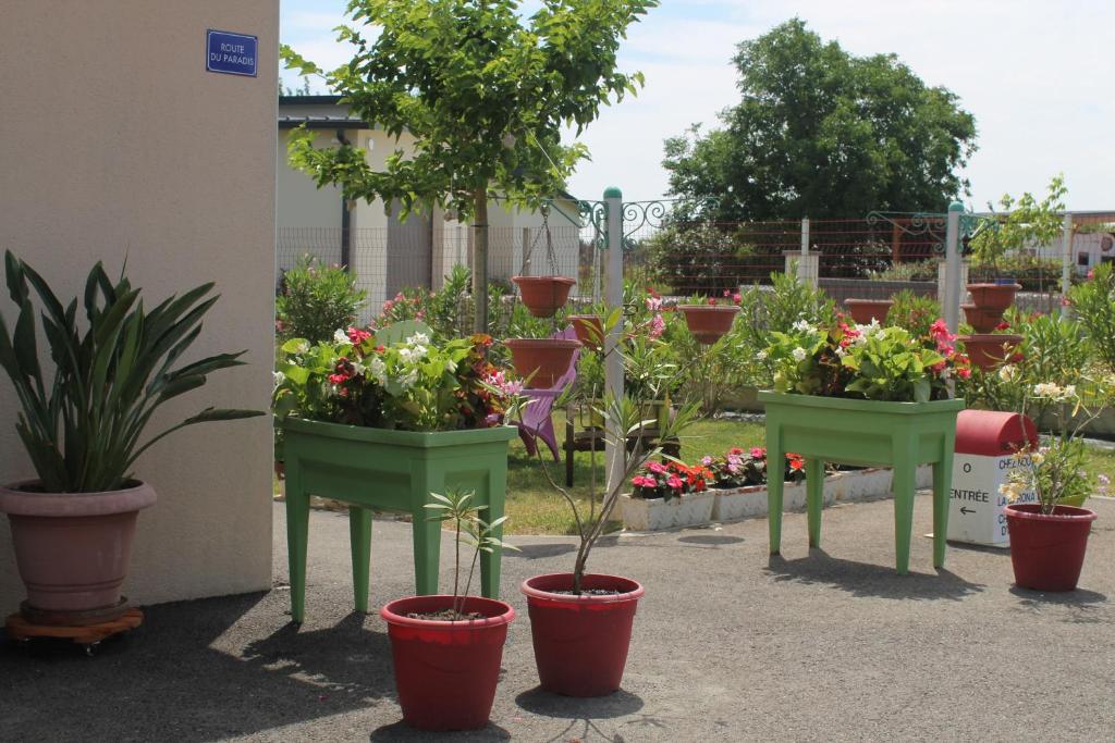 Zahrada ubytování B&B La Garona