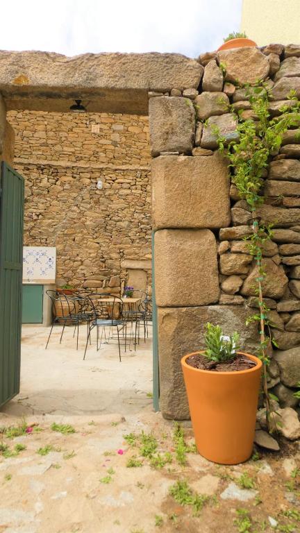 a patio with a stone wall and a potted plant at Casa CÔA - Casas de Villar - Rural Experience in Vilar de Amargo