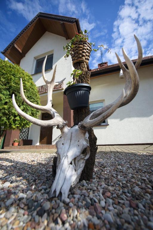 Willa Mysliwska - 14