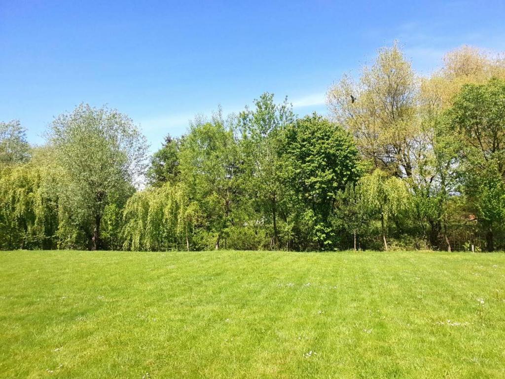 a large green field with trees in the background at The Bosna River in Vreoca