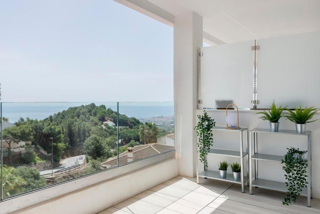 Příroda nedaleko apartmánu