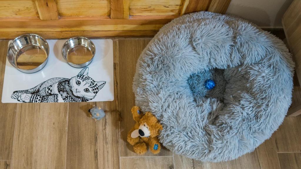 Apartamento ruh sara by Toledo AP - 6