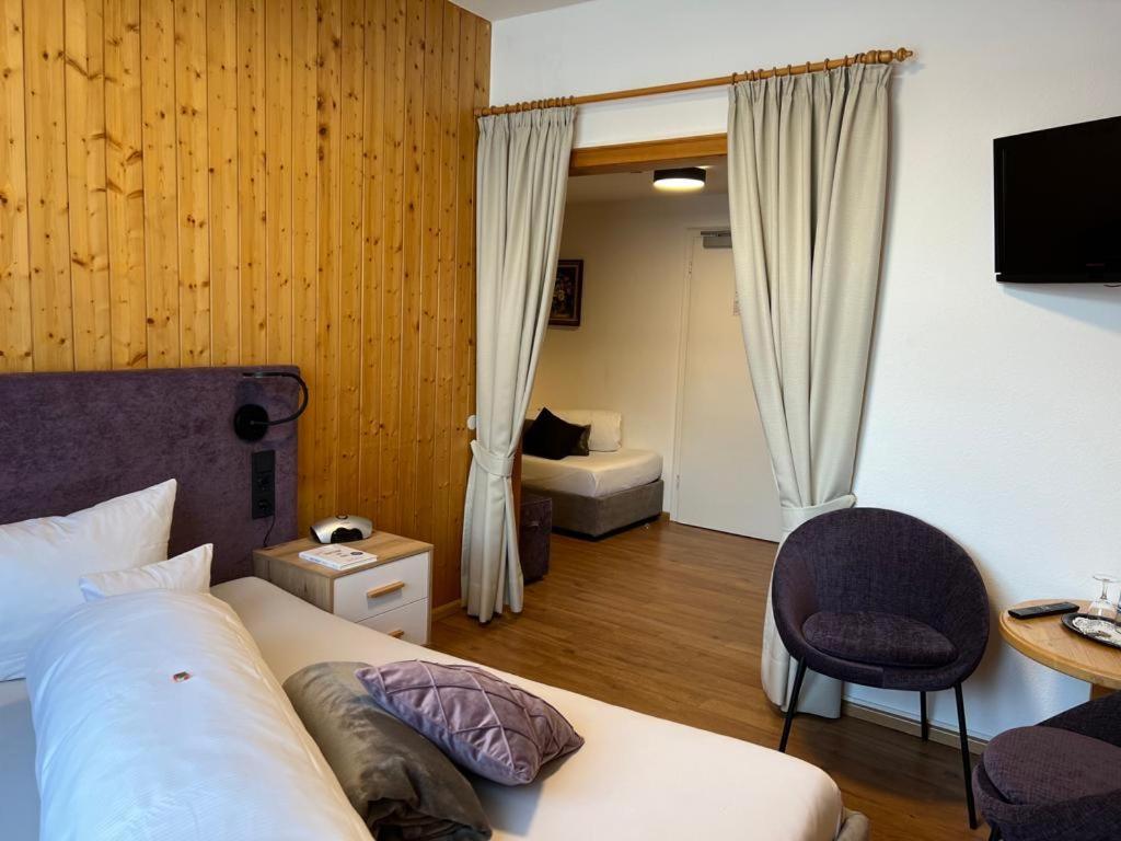 TV a/nebo společenská místnost v ubytování Hotel Schwarzwaldhof