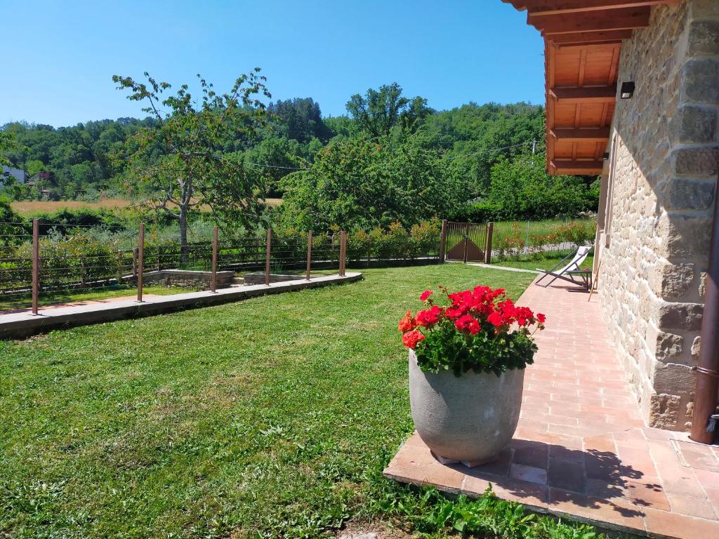 Vonkajšia záhrada v ubytovaní Casa Zeli