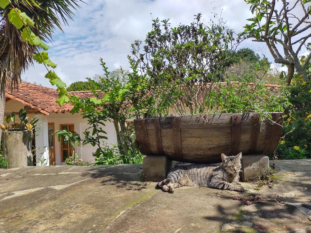 Jardí fora de Hotel Ecoposada Viña de Aldana