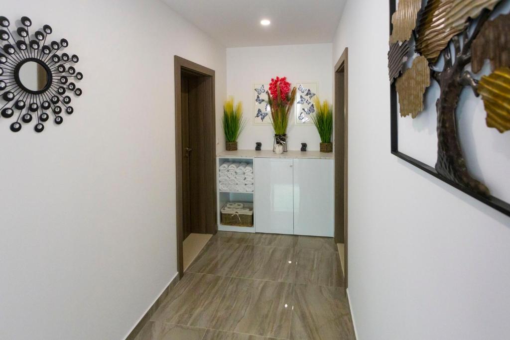 Fotografie z fotogalerie ubytování Apartments Vicin v destinaci Brela