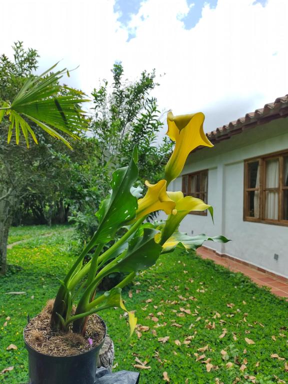 Jardí fora de Hotel Ecoposada Viña de Aldana