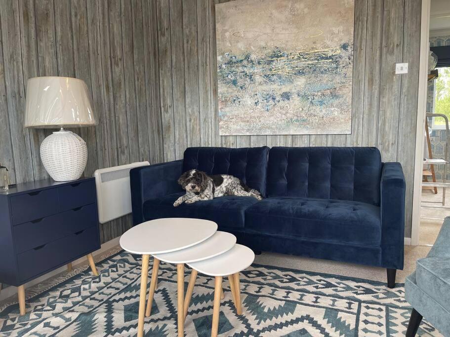 a dog laying on a blue couch in a living room at Apartment 4, Hunstanton in Hunstanton