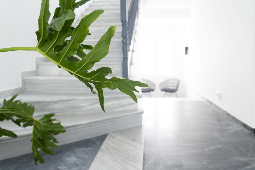 Posteľ alebo postele v izbe v ubytovaní Naxian Memories Apartments