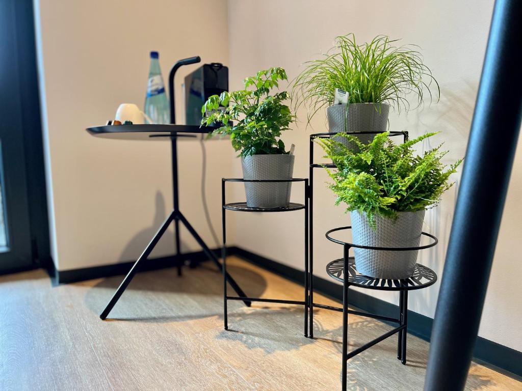 Fotografie z fotogalerie ubytování Hotel Drei Höfe v destinaci Friedrichsdorf